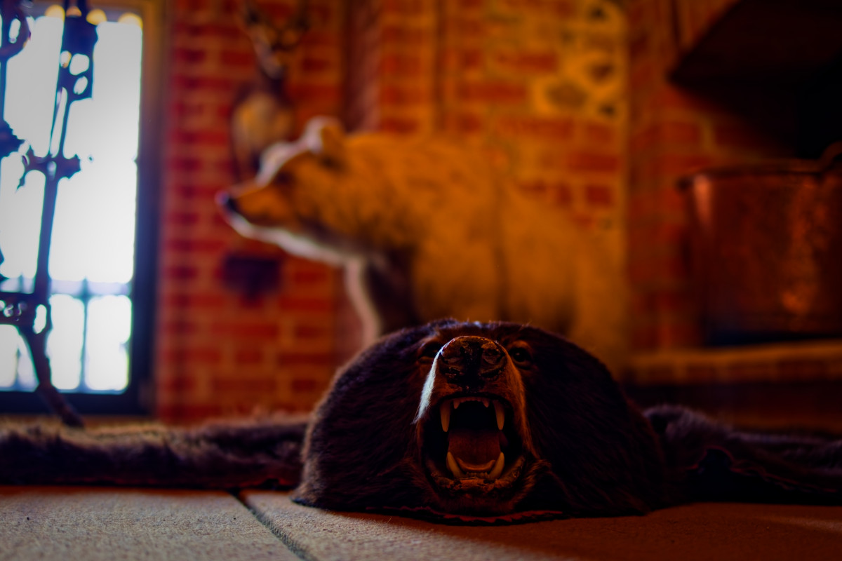 Trakai Bear
