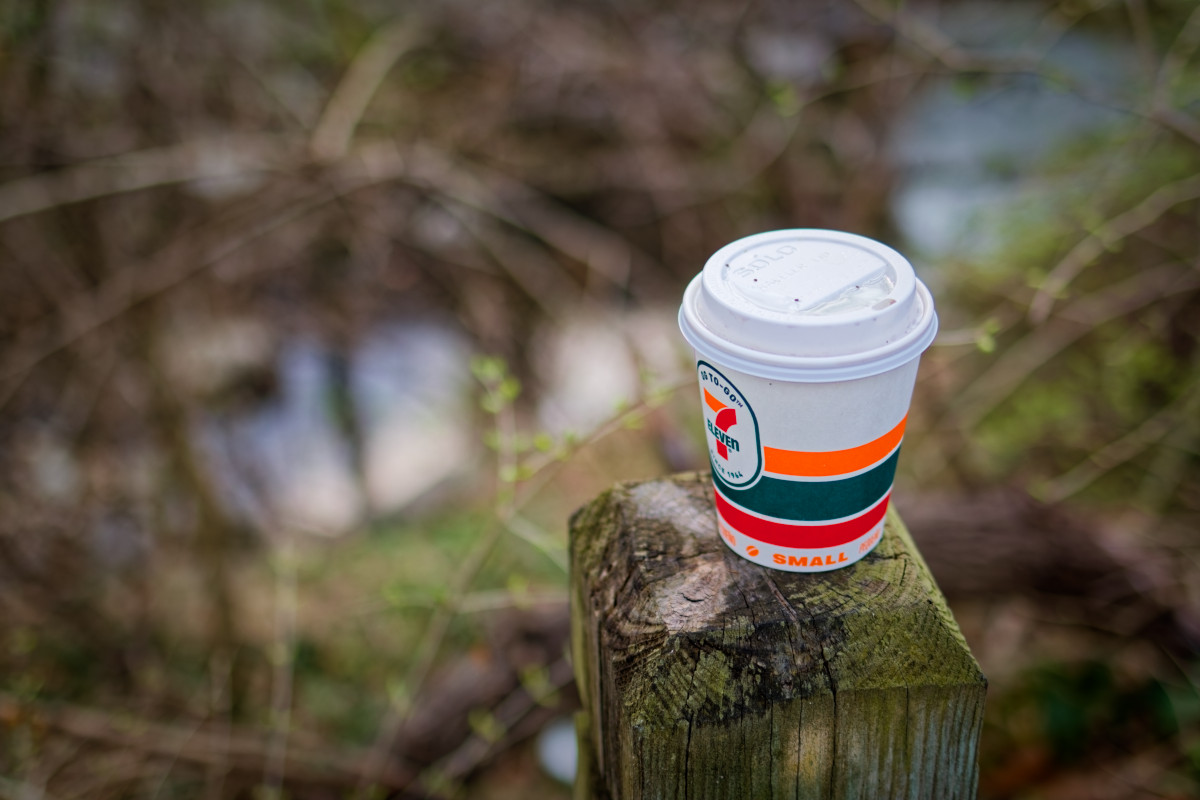 Abandoned Cup