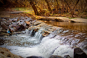 Shirlington Rapids